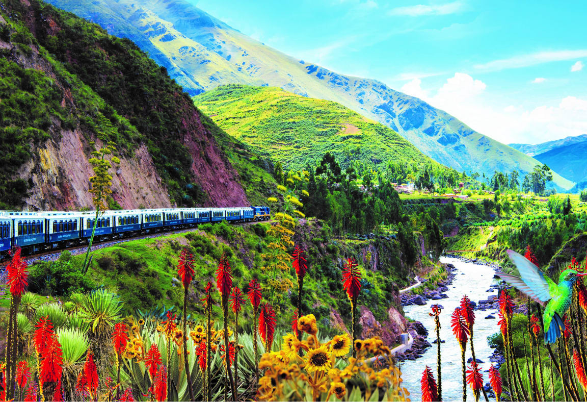 Holland America Line Cruise Deals 2024 & 25 Imagine Cruising