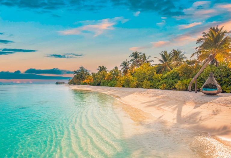 Cruise image