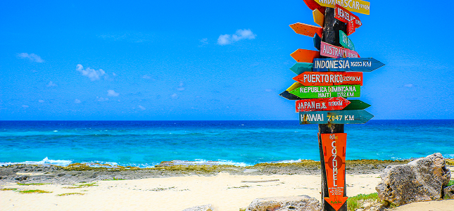 Cruise image
