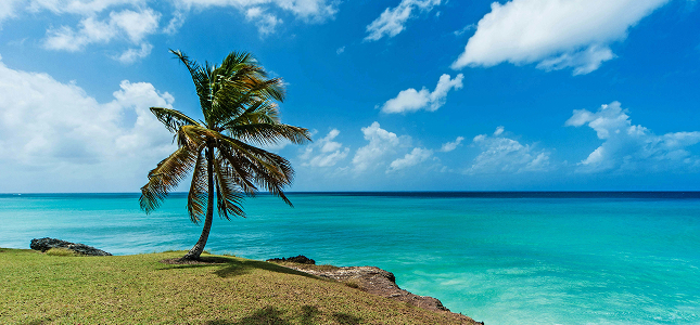 Cruise image