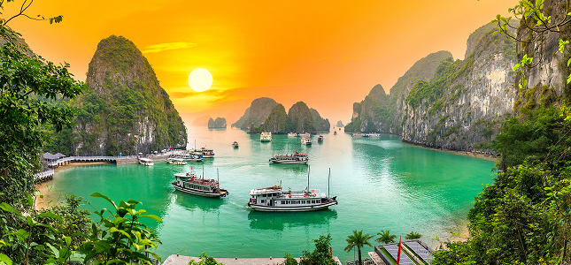 Cruise image