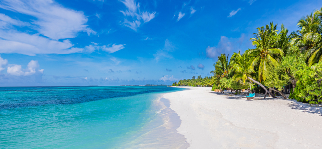 Cruise image