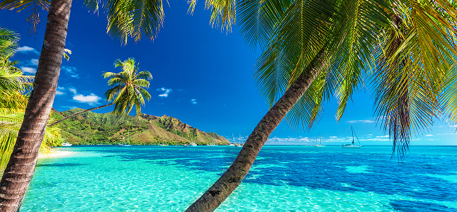 Cruise image