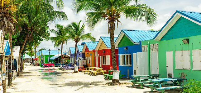 Cruise image