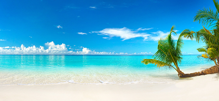 Cruise image