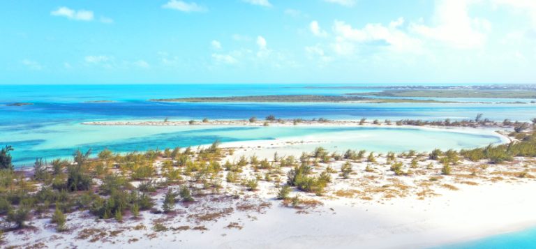 Cruise image
