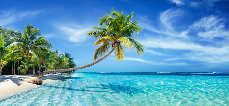 Cruise image