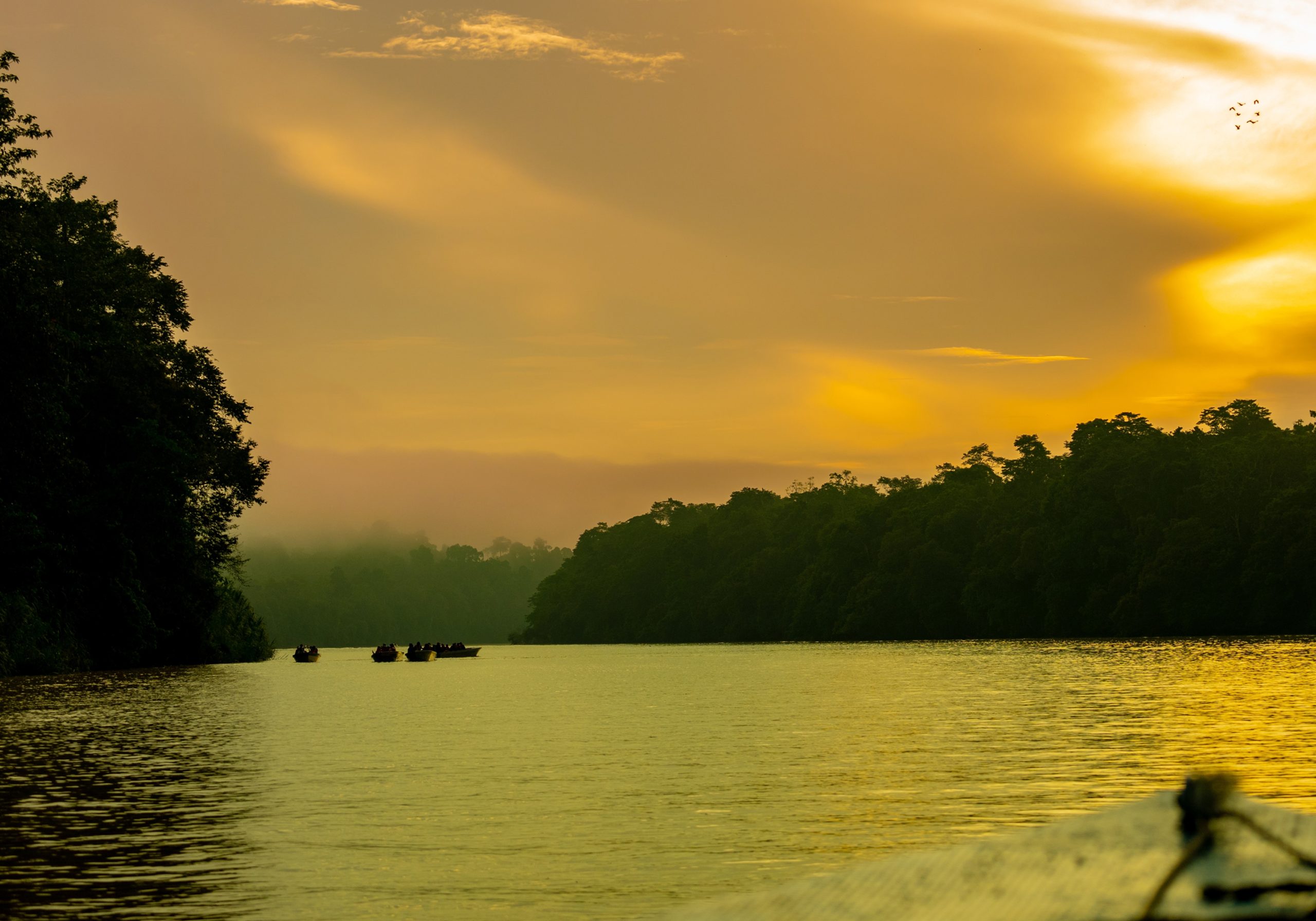 First Light on the Kinabatangan River