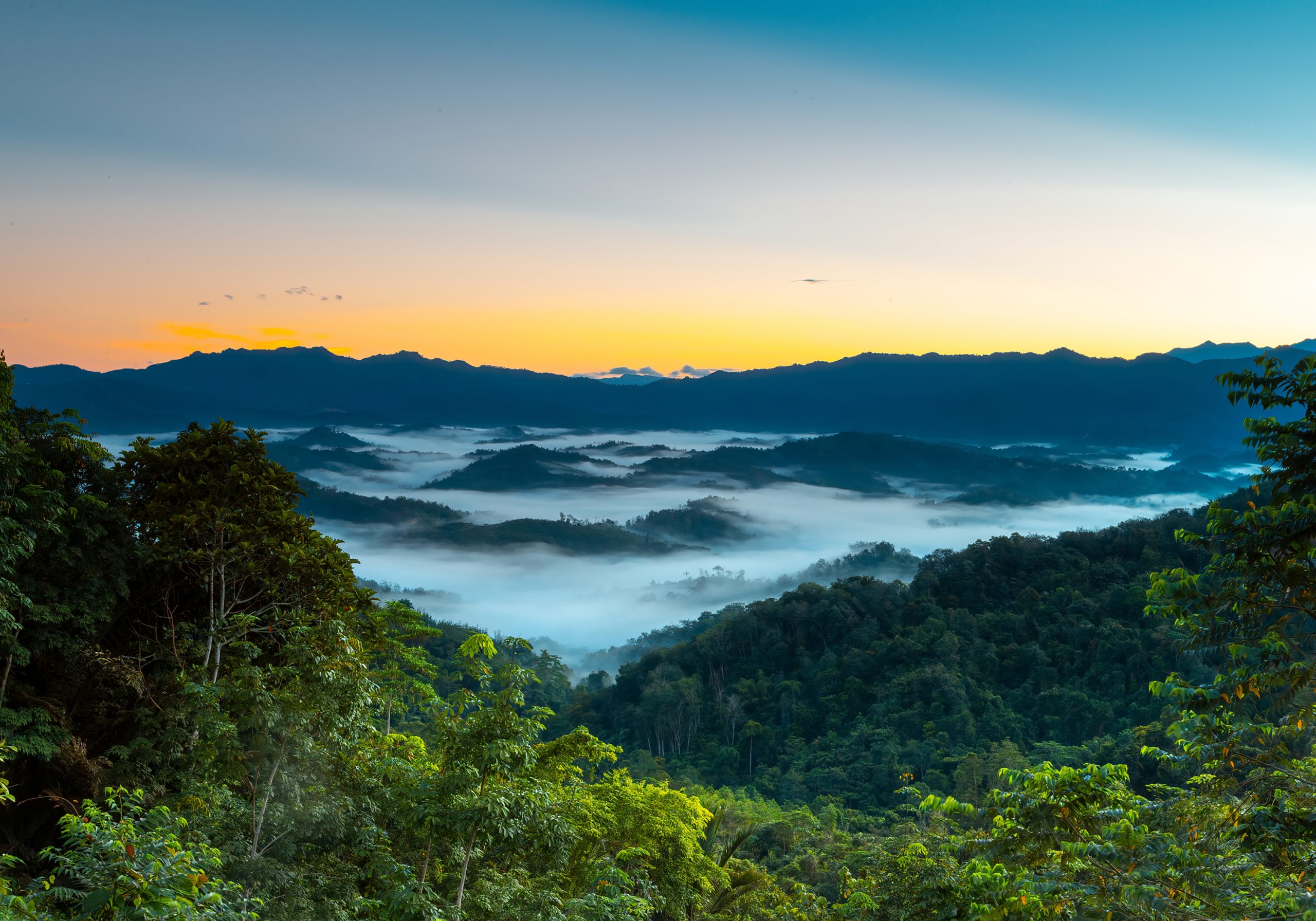 Kinabalu Park & Kipungit Waterfall