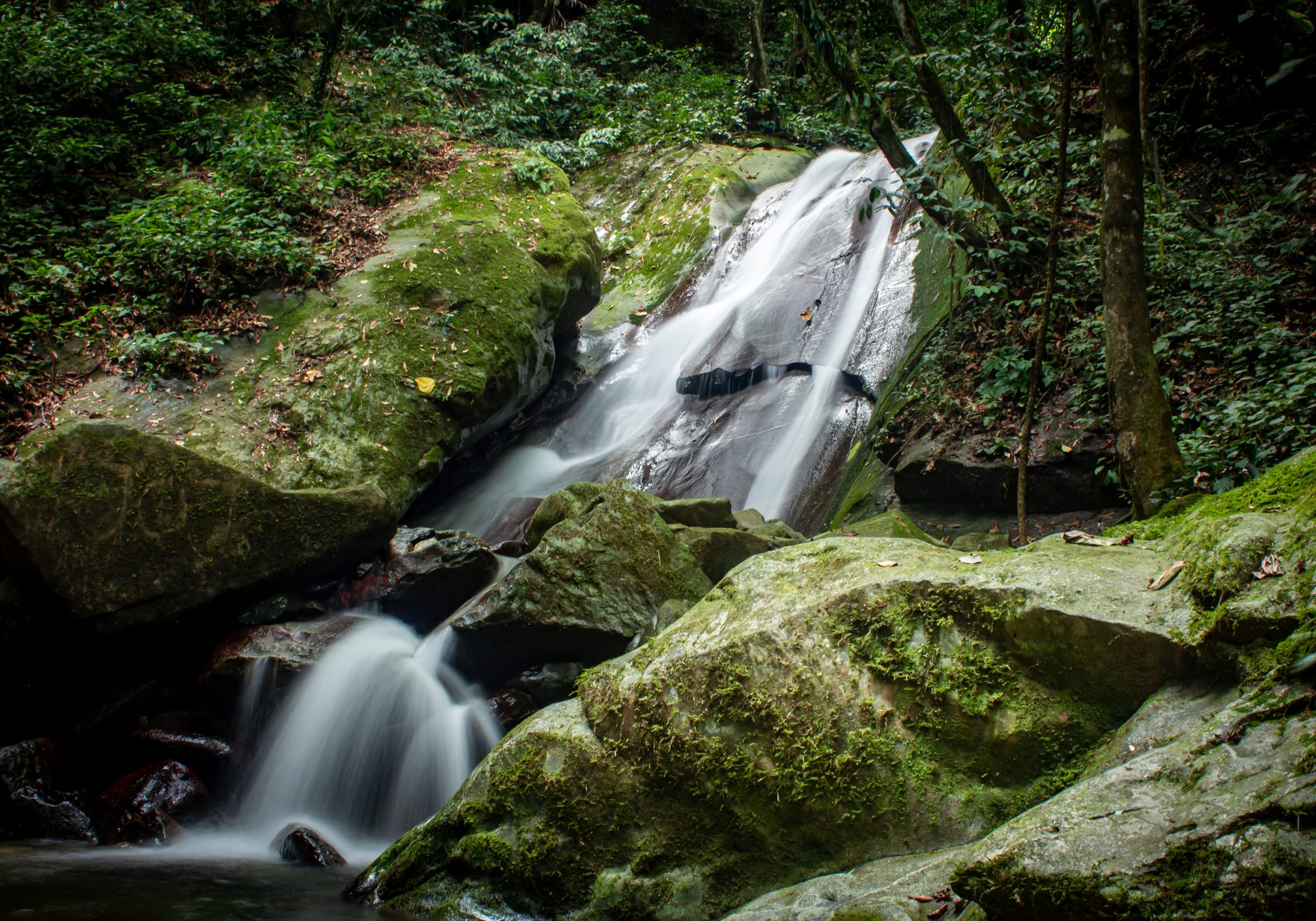 Kinabalu Park & Kipungit Waterfall