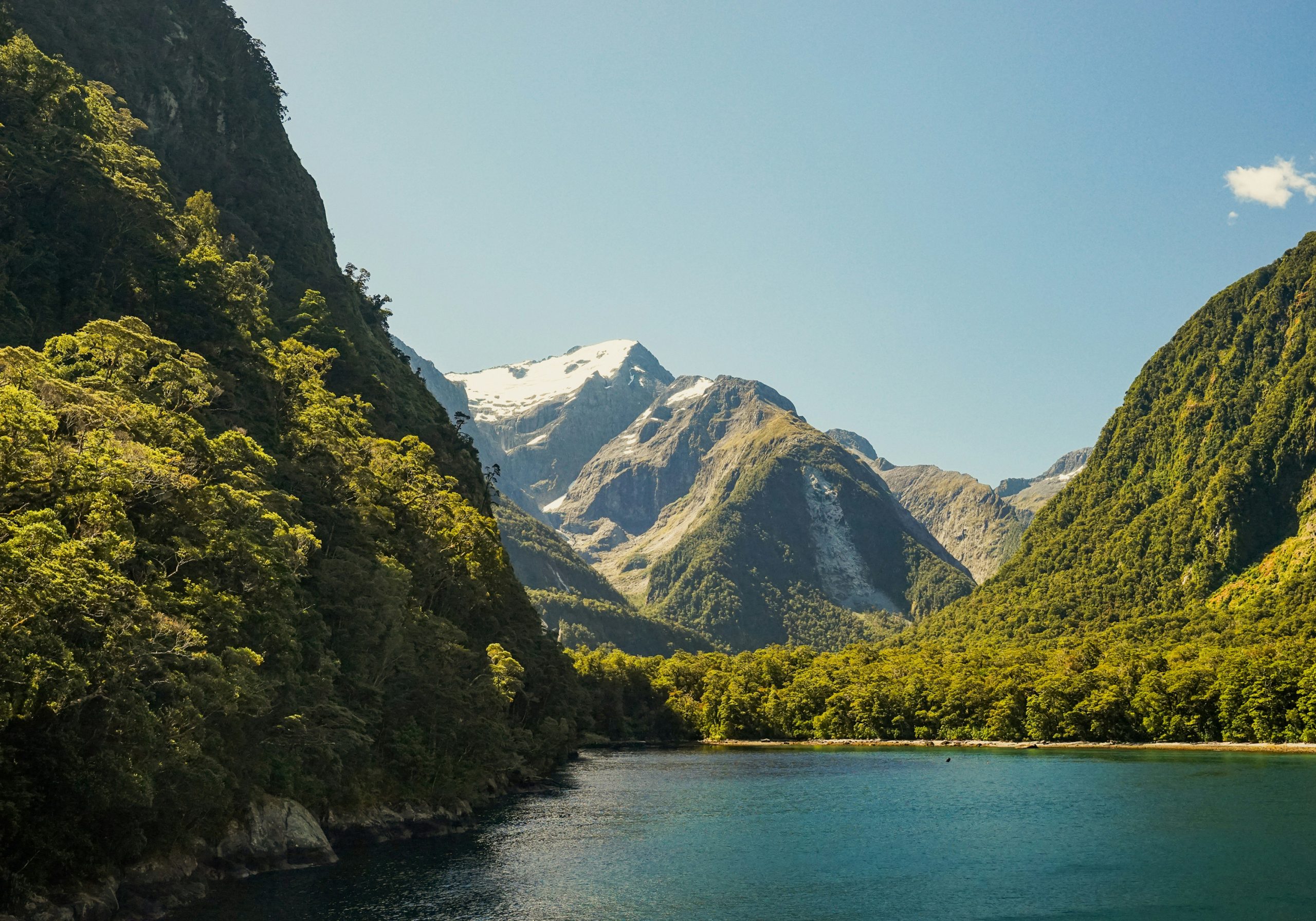 Milford Sound Discover More Cruise