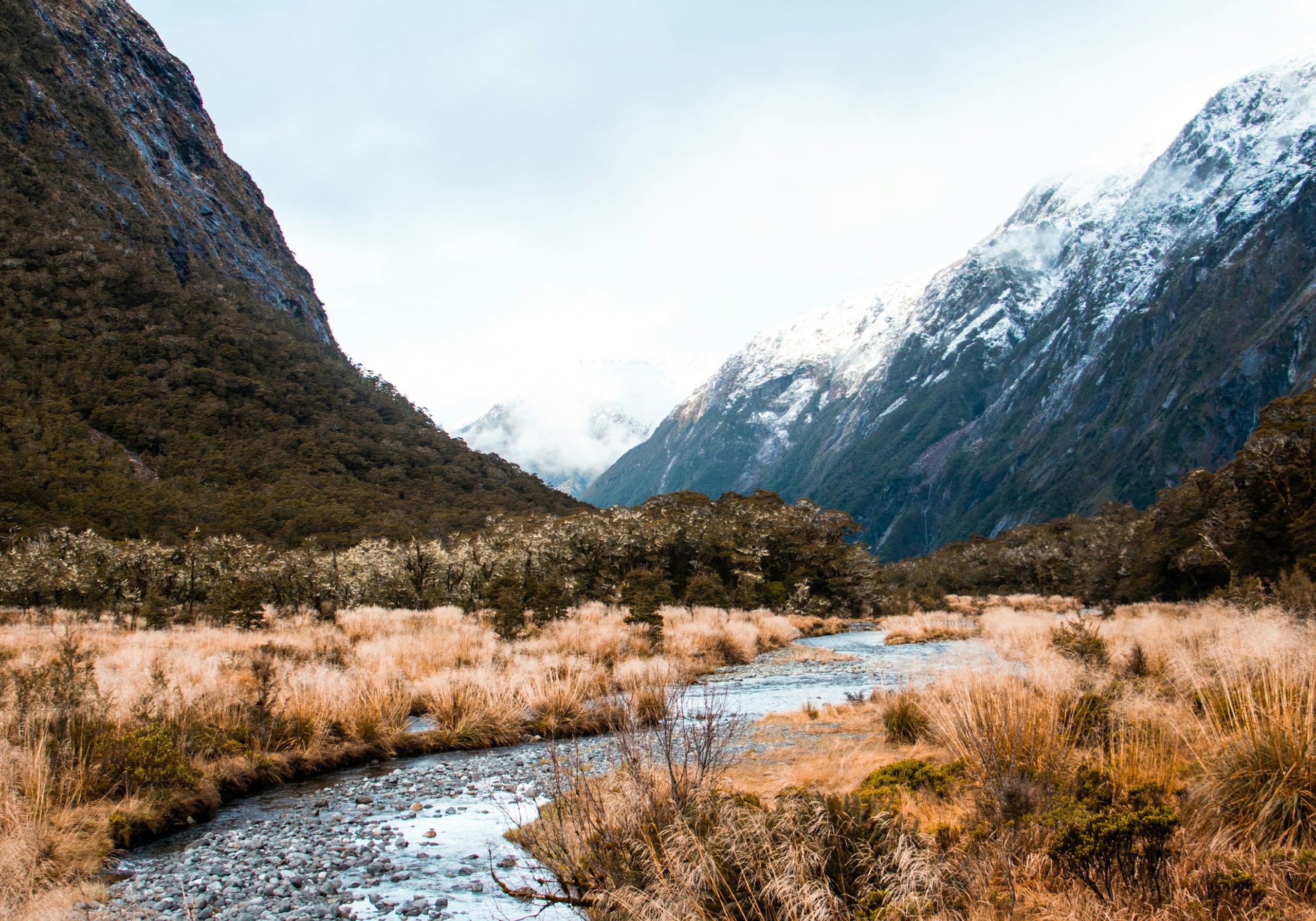 Milford Sound Discover More Cruise